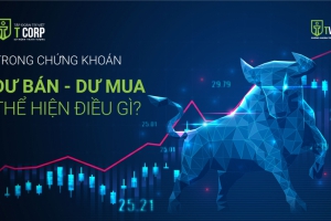 TRONG CHỨNG KHOÁN, DƯ BÁN - DƯ MUA THỂ HIỆN ĐIỀU GÌ?
